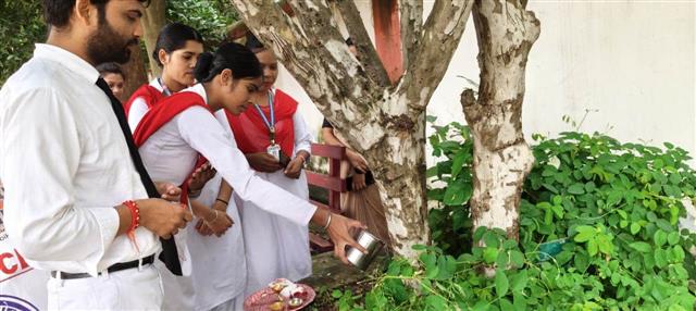 प्रकृति वंदन कार्यक्रम